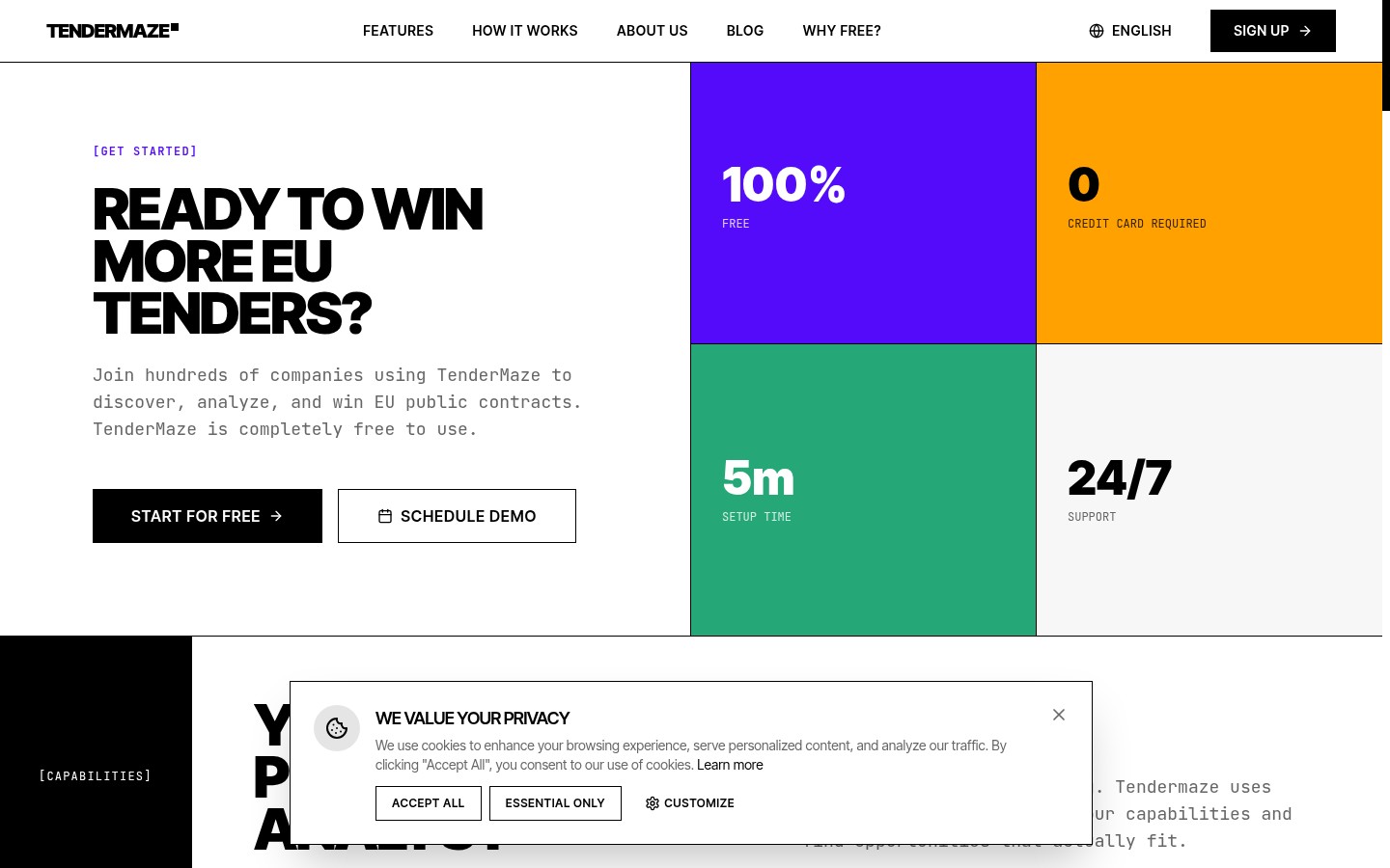 TenderMaze tender management software landing page
